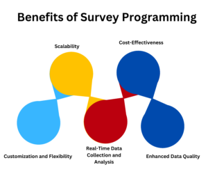 Benefits-of-Survey-Programming.png