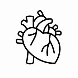 Cardiology