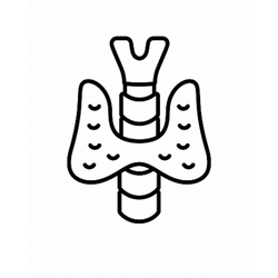 Endocrinology